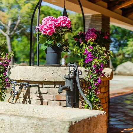 La Dolce Vila Rimini