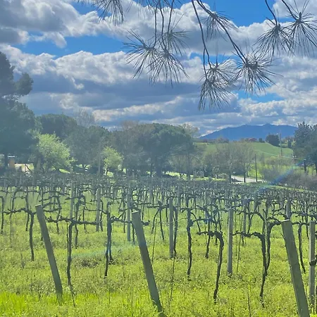 Vila La Dolce Rimini