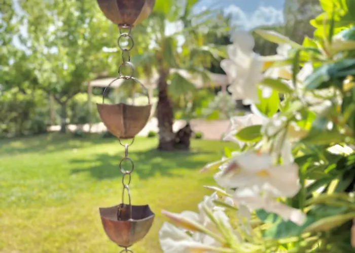 فيلة La Dolce ريميني