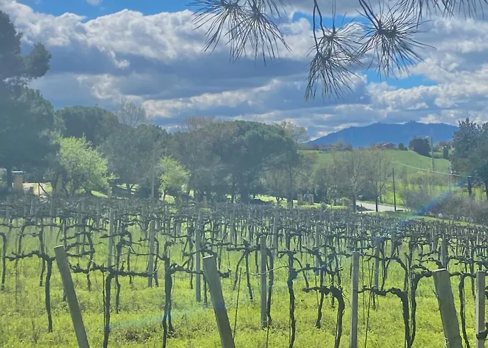 Villa La Dolce Rimini