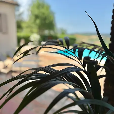 La Dolce * Rimini